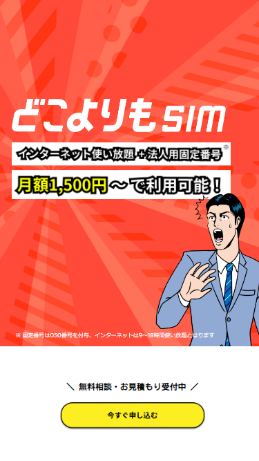 どこよりもSIM